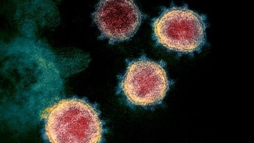 UK scientists identify 6 strains of COVID-19