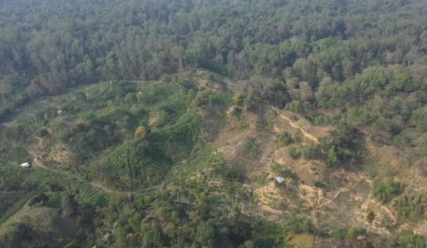 Powerful Interests Tighten Their Grip on Lawacherra Forest land