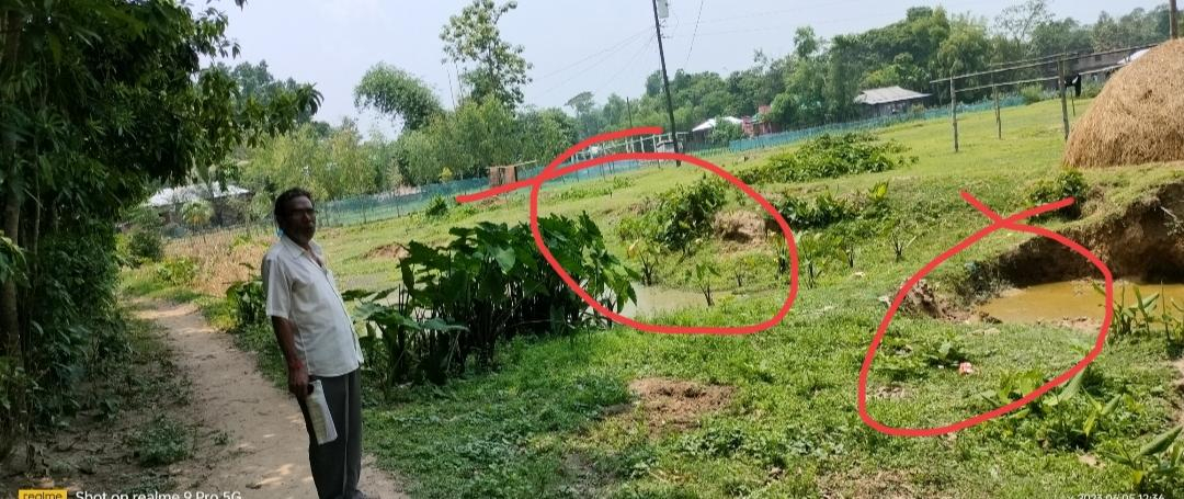 Tea Capital in Turmoil: Land Grabbing Scandals Shake the Heart of Srimangal